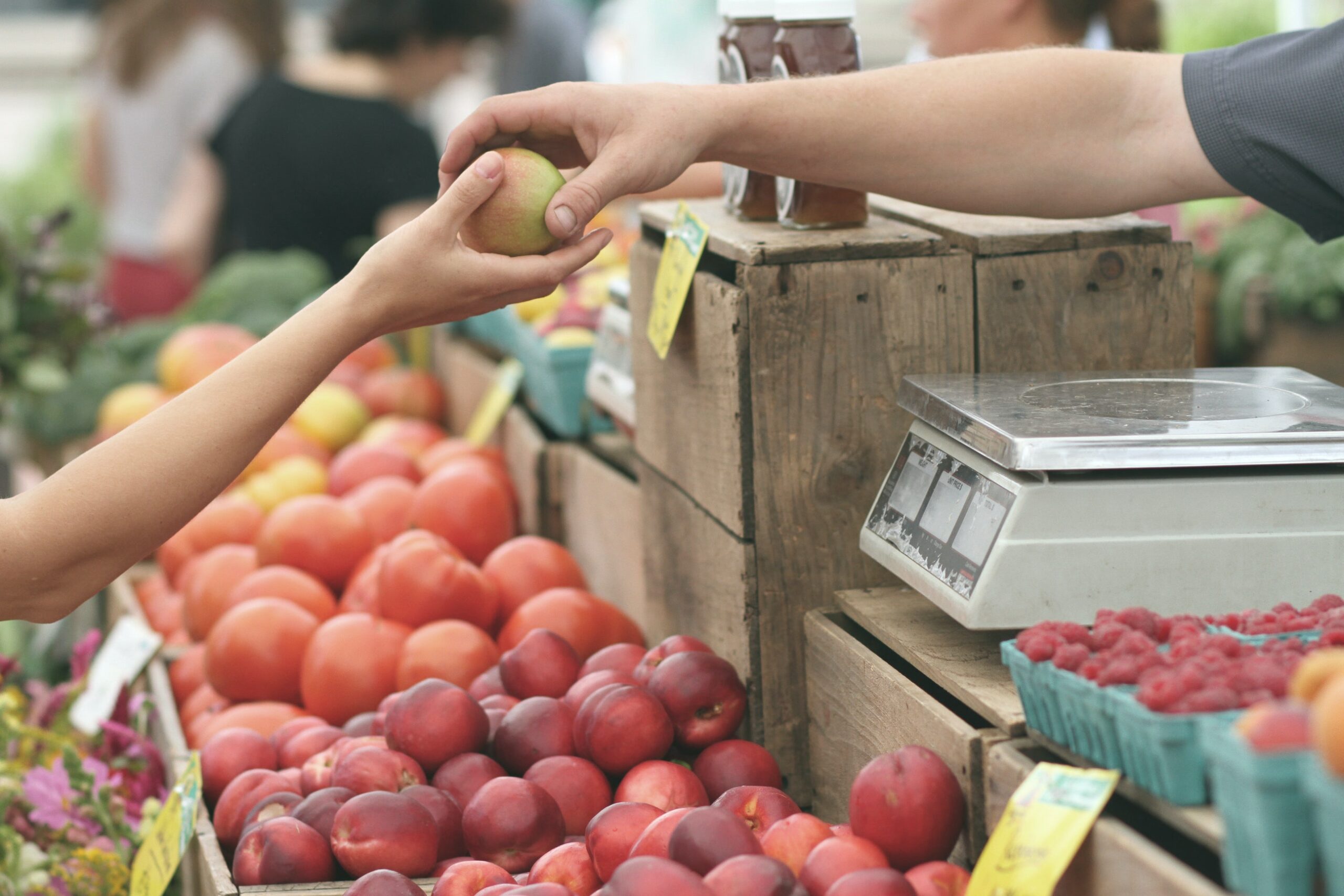 12 Abitudini alimentari sostenibili: buone per te, buone per la terra