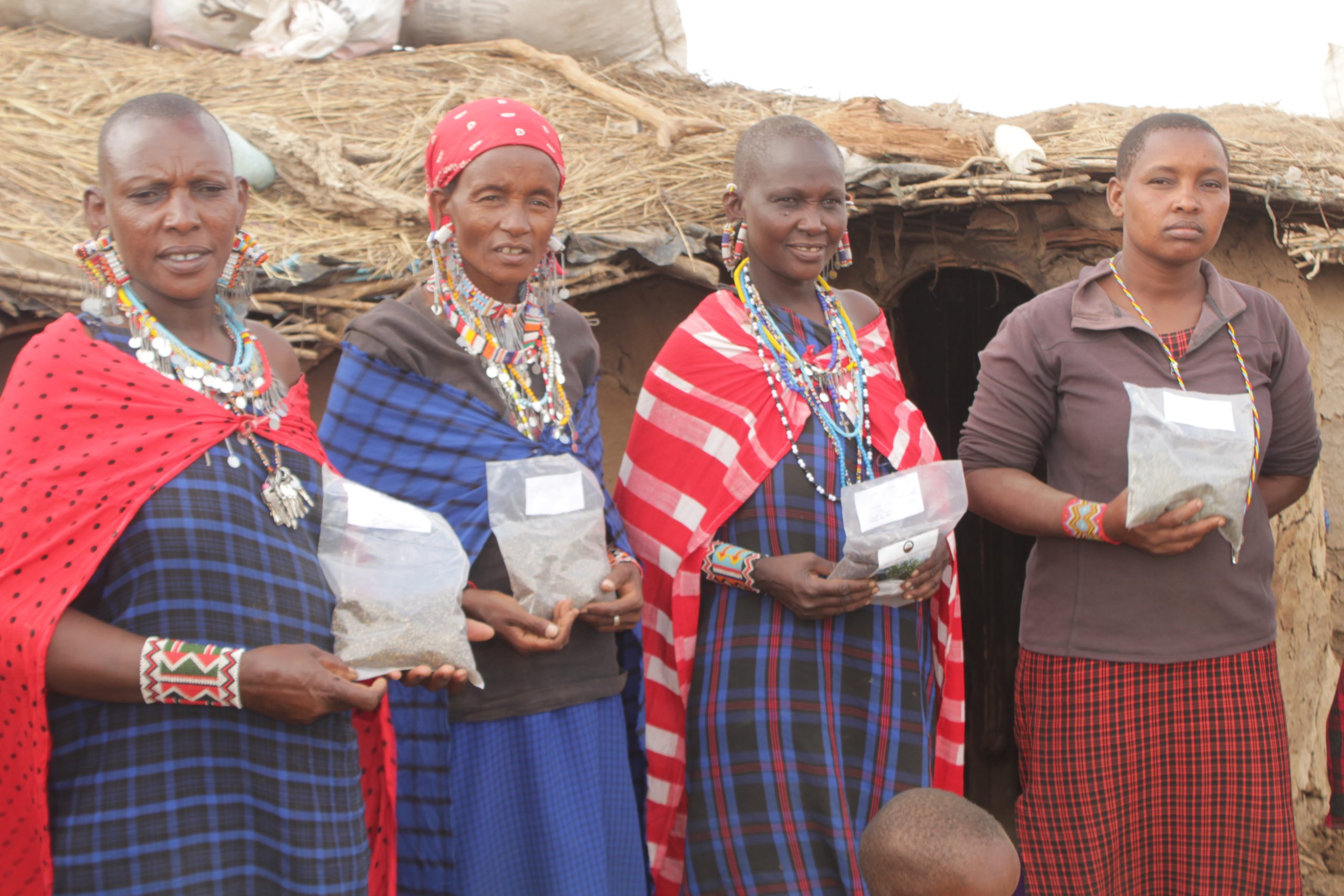 La comunità Masai: istruzione, economia e conservazione ambientale