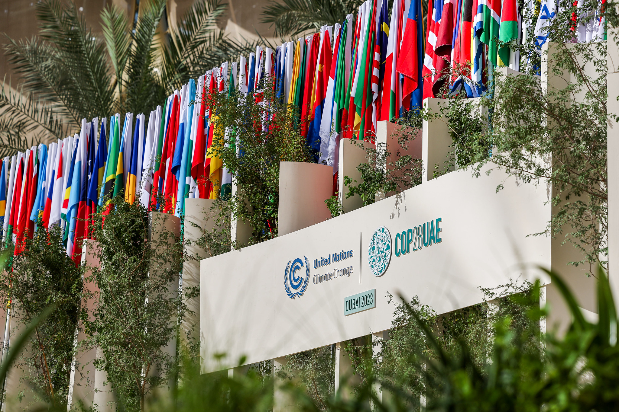 Messaggio di Papa Francesco alla COP28