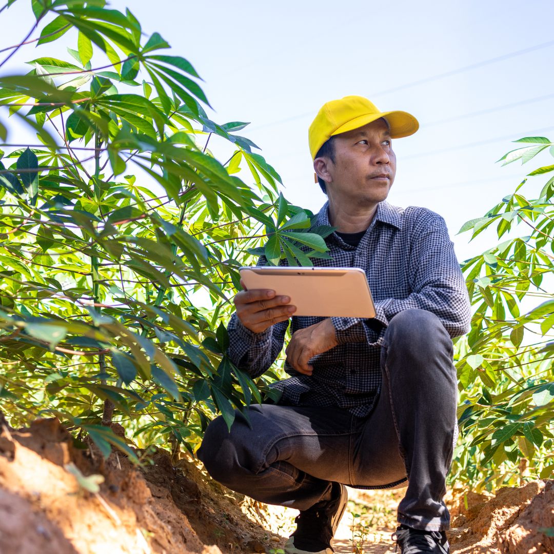 Personalizza il tuo Piano Laudato Si’ affinché sia efficace