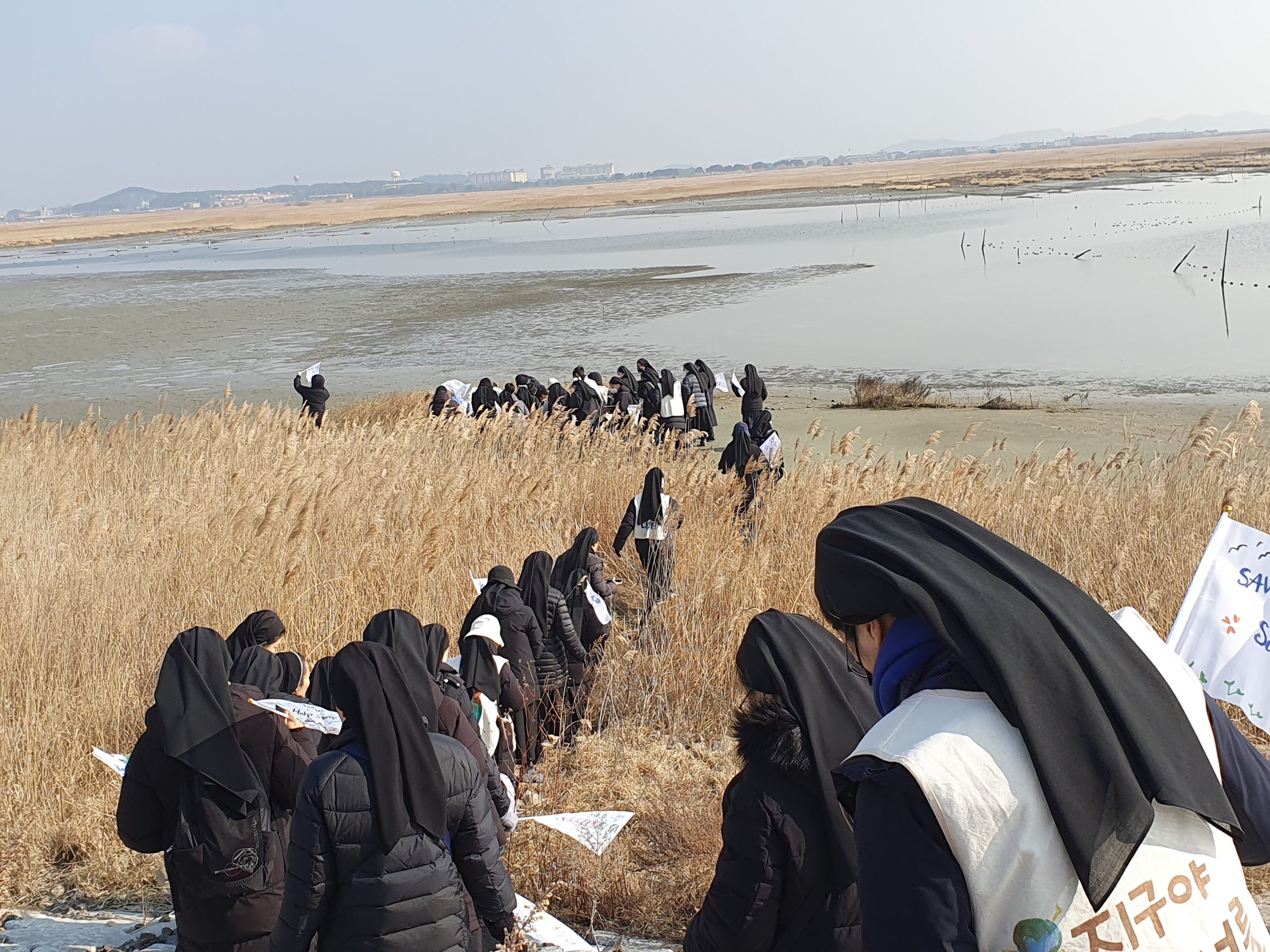 Pellegrini di Speranza: un viaggio attraverso le piane di marea in Corea del Sud