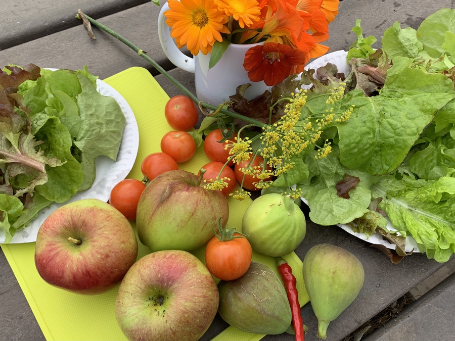 “Niente è troppo piccolo”: La Provincia Europea della Società del Santo Bambino Gesù