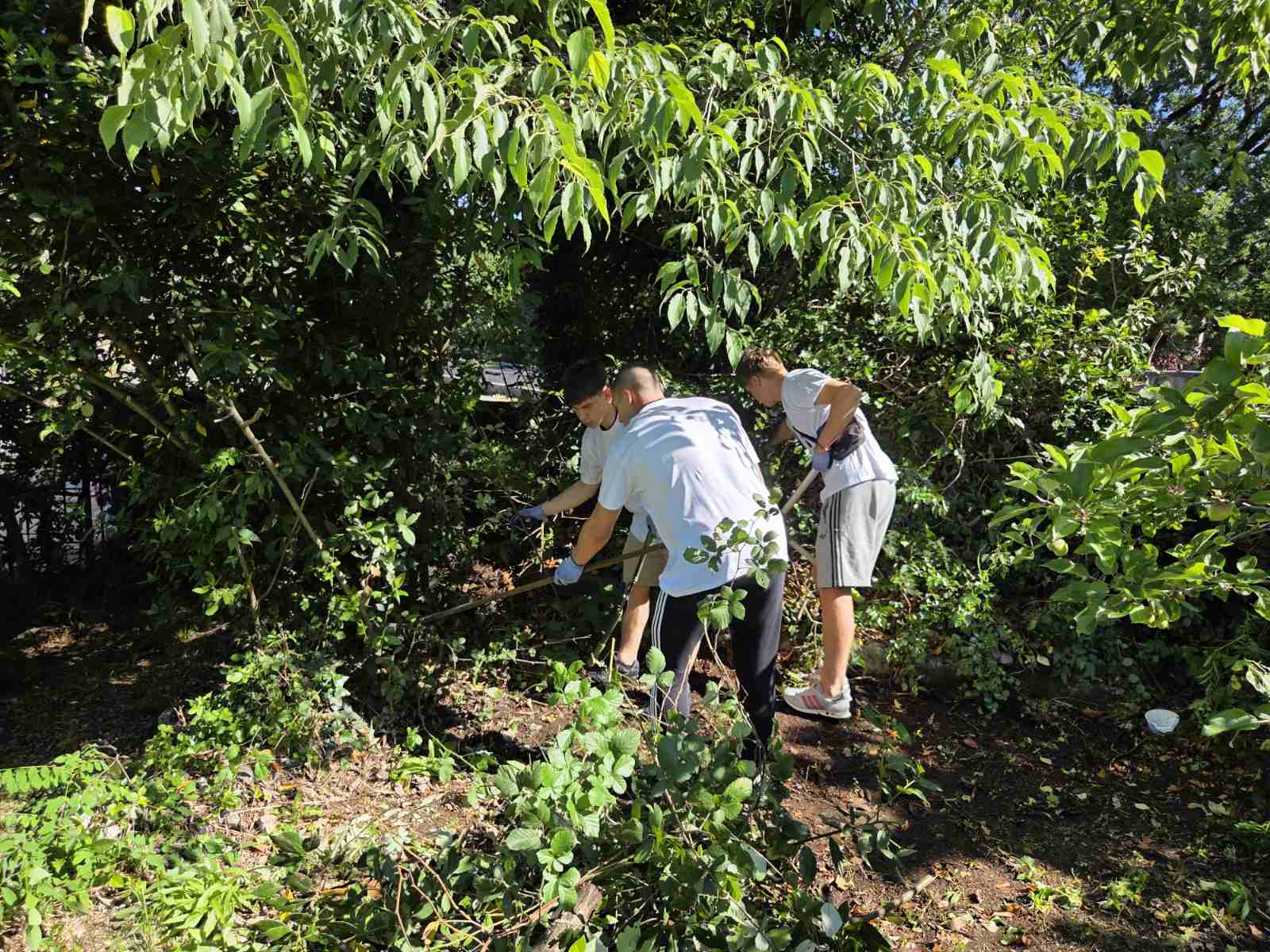 Dai vescovi alle parrocchie: come la Croazia sta costruendo un percorso condiviso per l’ecologia integrale
